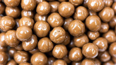 Sea Salt Hazelnuts