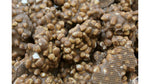 Chocolate Covered Rice Puffs