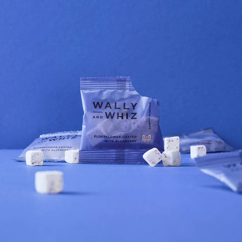 Wally and Whiz: Elderflower with Blueberry 11g