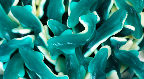 Jumbo Gummy Shark