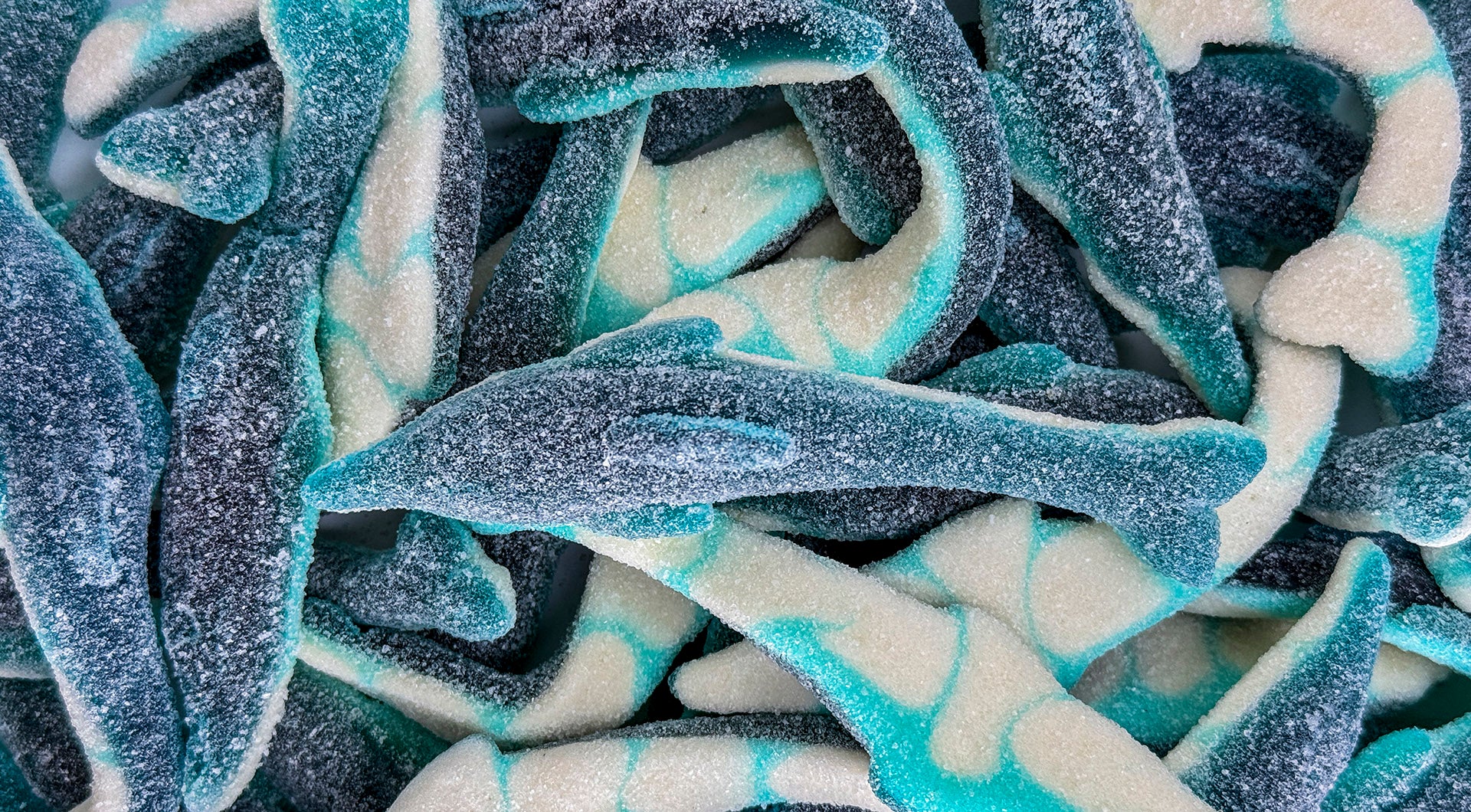 ♡ SweetCandy ♡ Giant Sour Dolphins – Sweetish Candy- A Swedish Candy Store