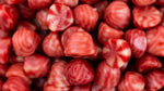 Spira Jordgubbs Drömmar (Sprout Strawberry Dreams)