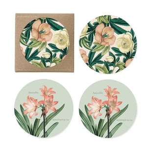 Helleborus coasters- beech veneer- made in Europe