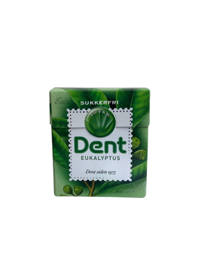 Dent Sugar Free Eukalyptus Pastille 24g