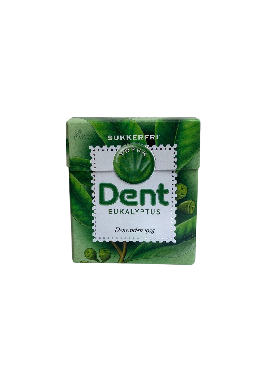 Dent Sugar Free Eukalyptus Pastille 24g