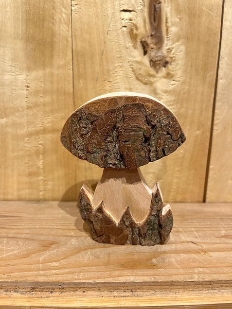 Large Bark Mushroom