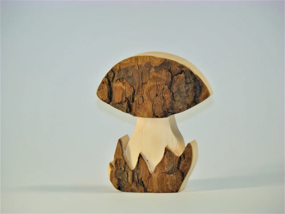 Medium Bark Mushroom