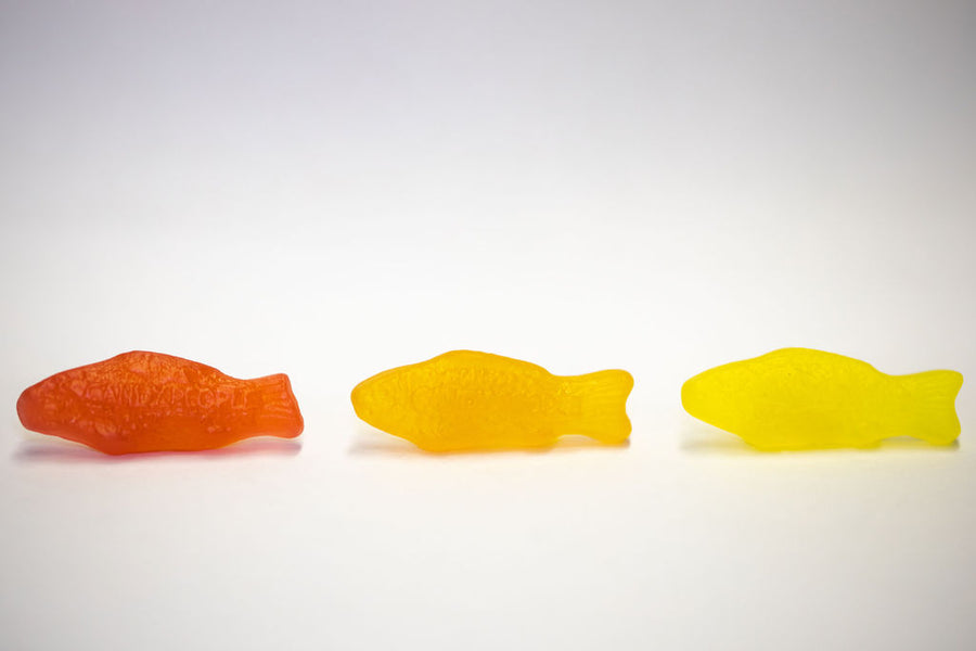 Svenska Fiskar (Mixed Swedish Fish)