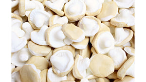 Kolakantarell (Caramel Foam Mushroom)