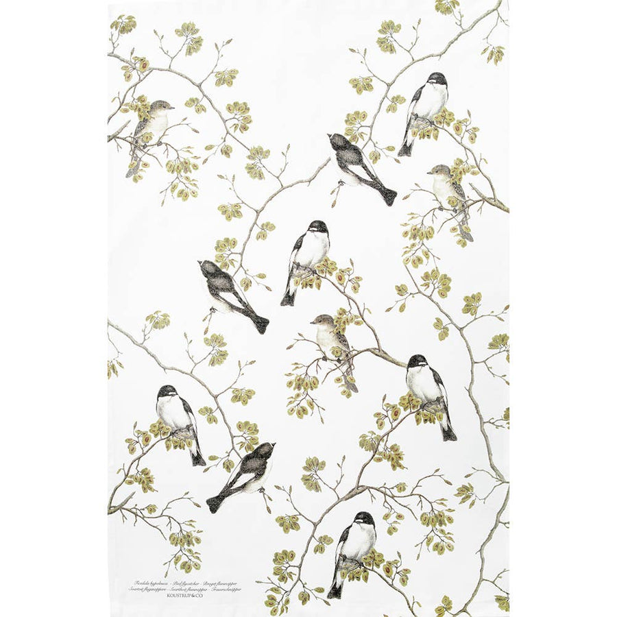 Garden birds- pied flycatcher  tea towel 100% organic cotton