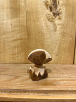 Small Bark Mushroom