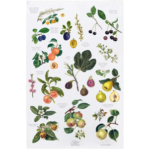 Koustrup & Co Danish Organic Cotton Tea Towels